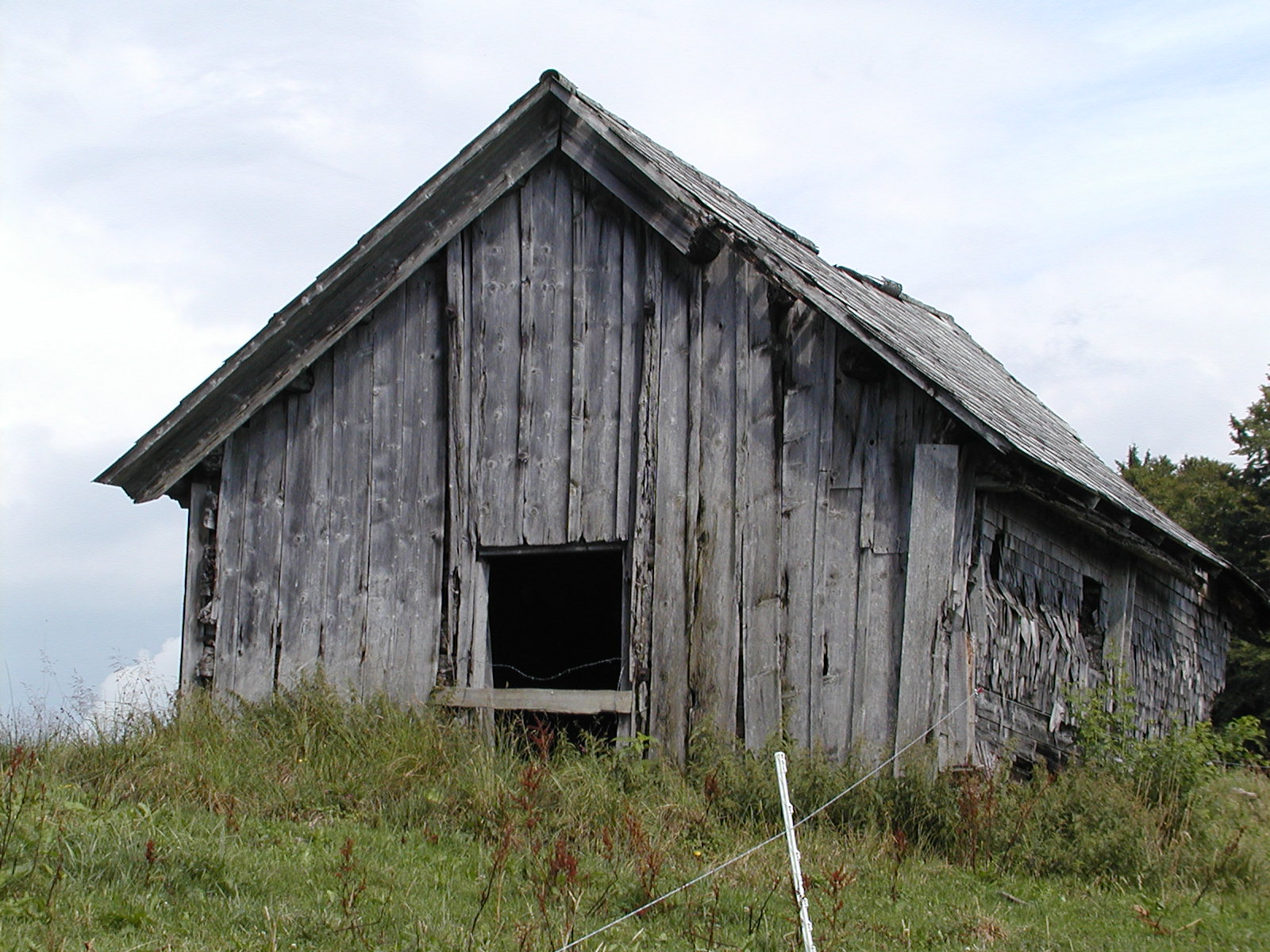 Alter Kalberstall - verwittertes Holzgebäude in der Natur
