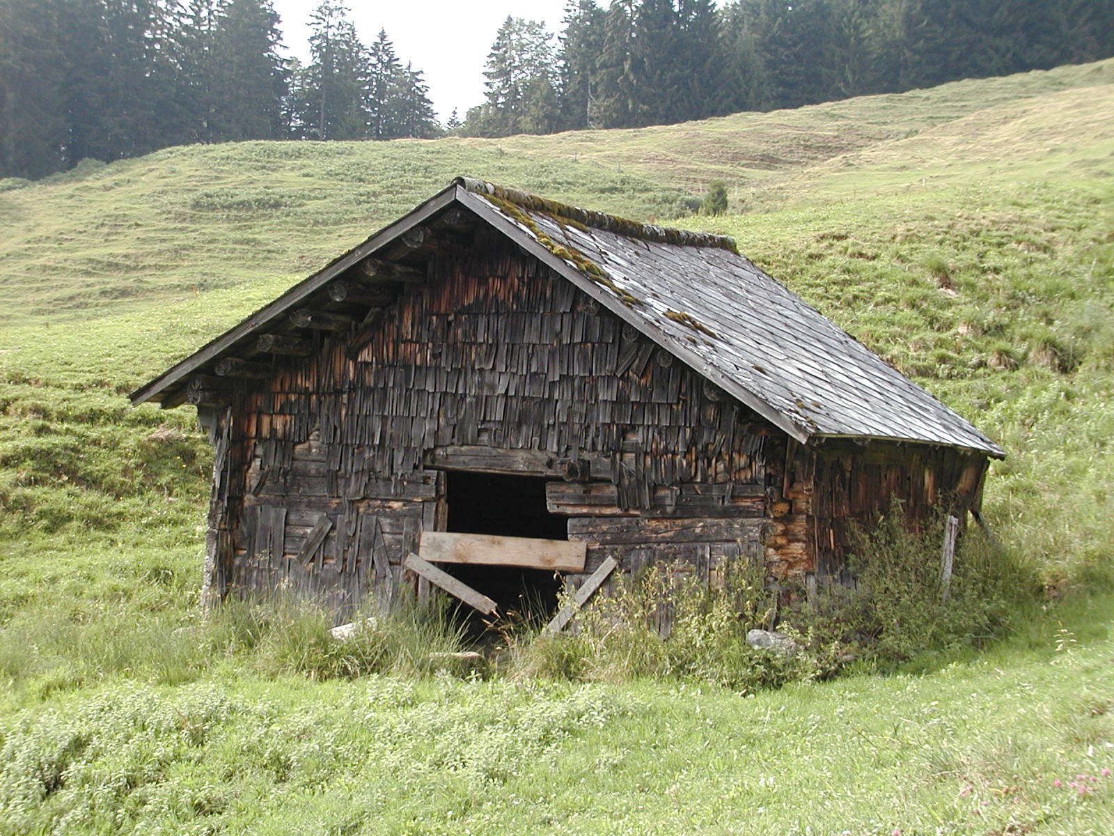 Traditioneller Wassergaden in der Alplandschaft mit verwittertem Holz und grünen Wiesen